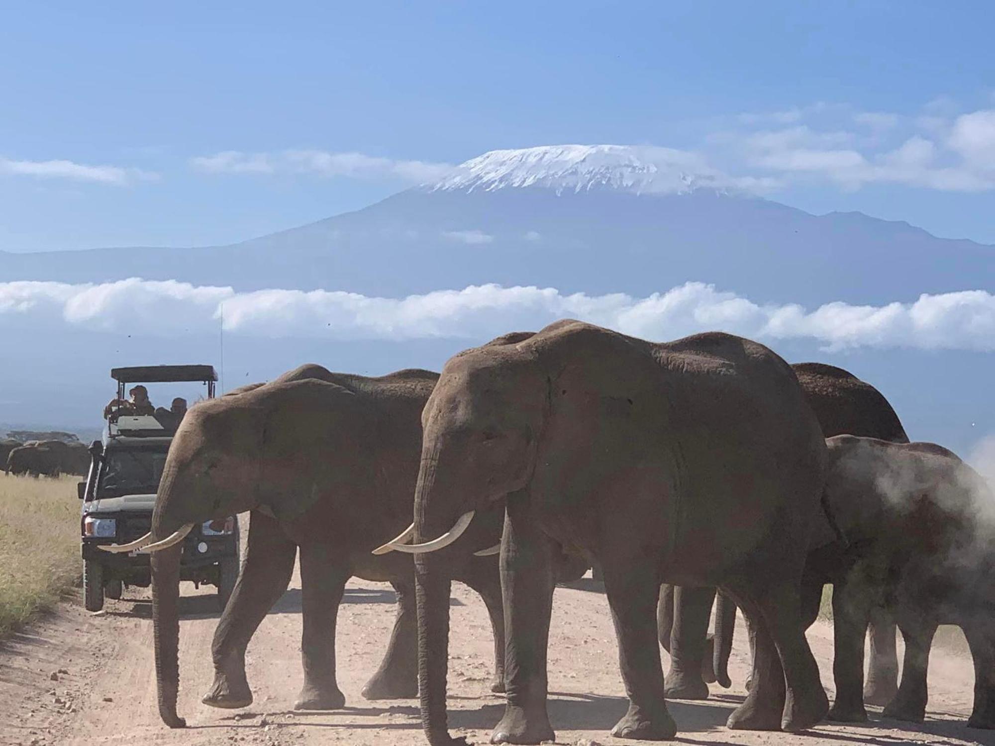 Amboseli Discovery Camp المظهر الخارجي الصورة