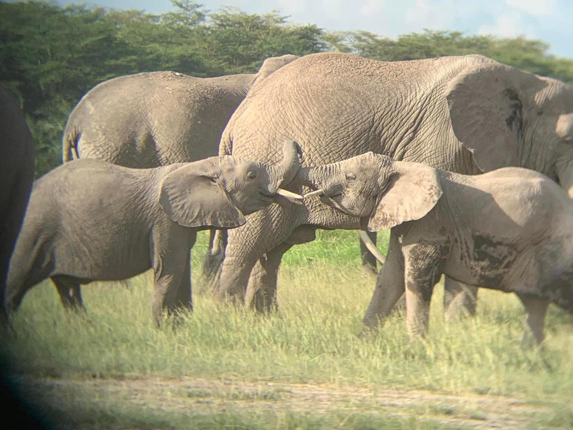 Amboseli Discovery Camp المظهر الخارجي الصورة
