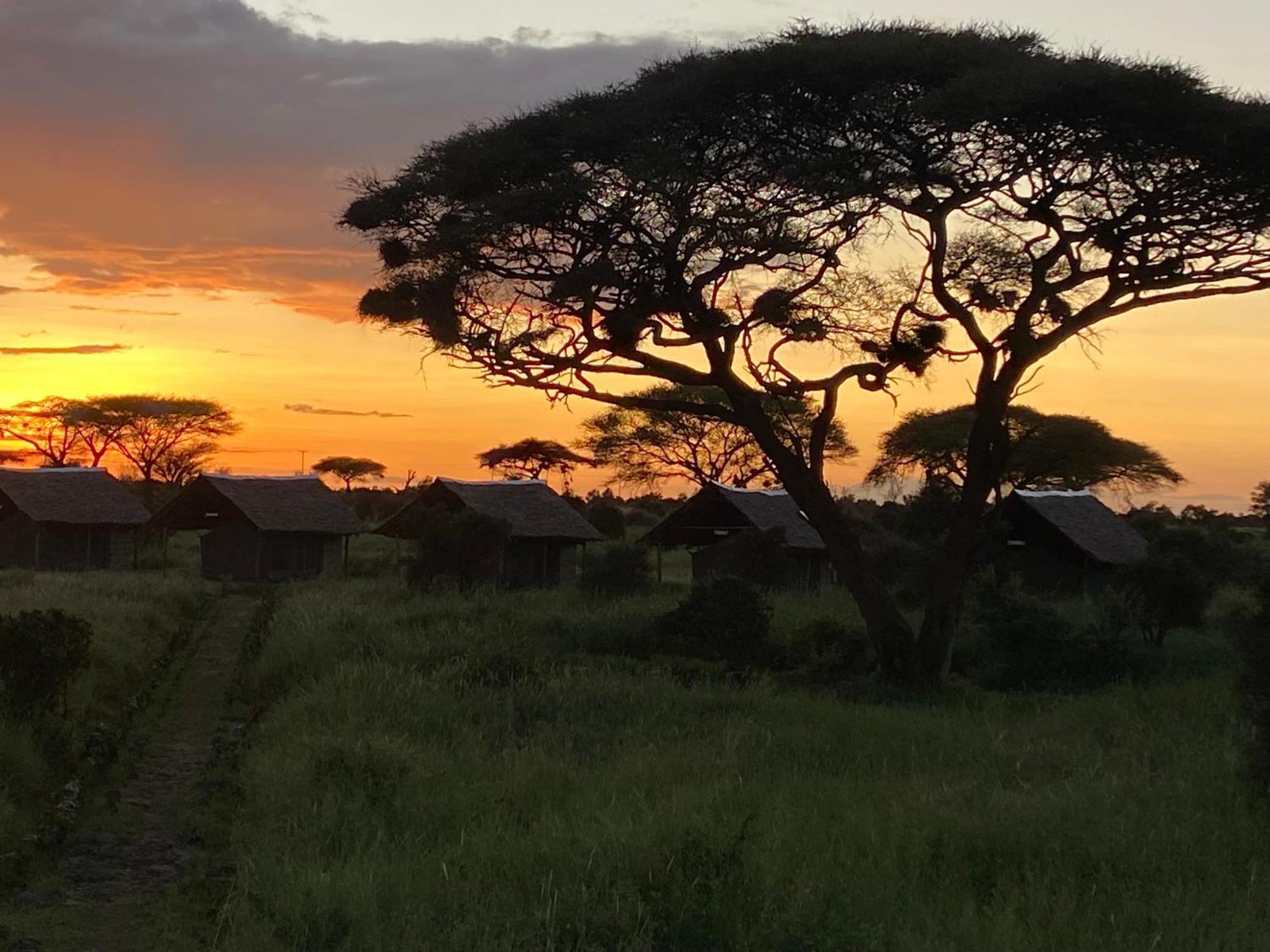 Amboseli Discovery Camp المظهر الخارجي الصورة