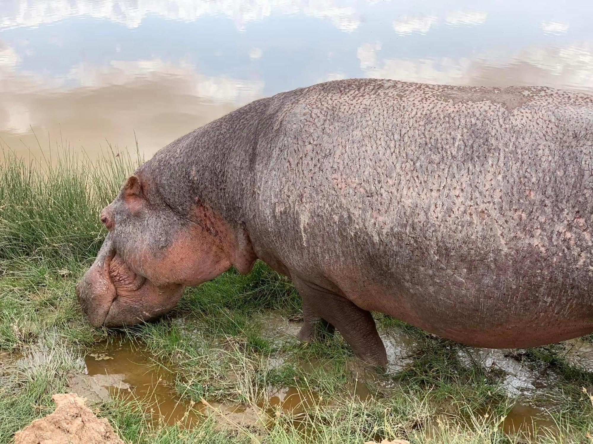 Amboseli Discovery Camp المظهر الخارجي الصورة