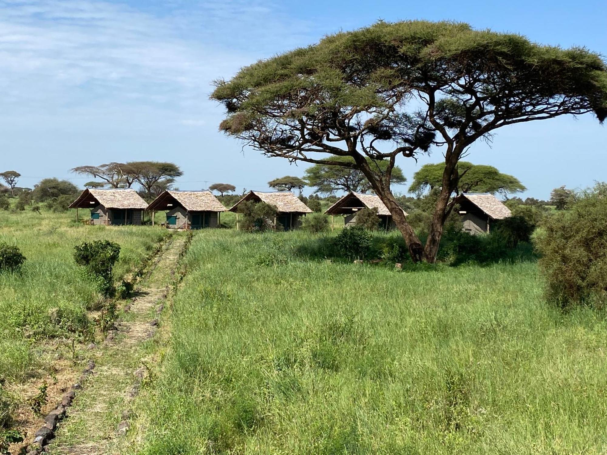 Amboseli Discovery Camp المظهر الخارجي الصورة