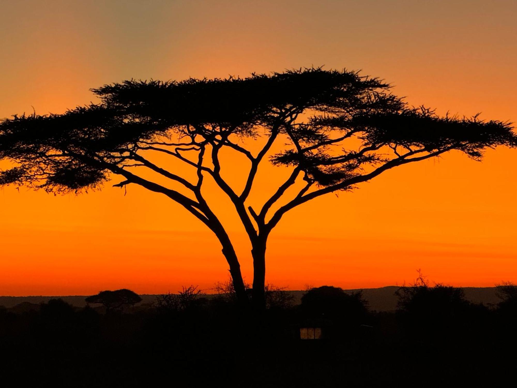 Amboseli Discovery Camp المظهر الخارجي الصورة
